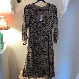 JCrew Cheetah Print Midi